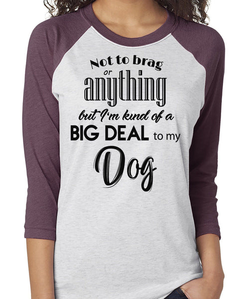 NOT TO BRAG DOG RAGLAN TEE - UP TO 3XL - 3 COLORS