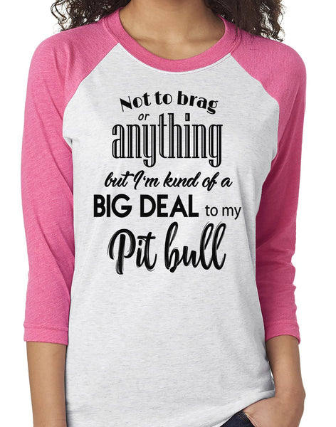 NOT TO BRAG PIT BULL RAGLAN TEE - UP TO 3XL - 3 COLORS
