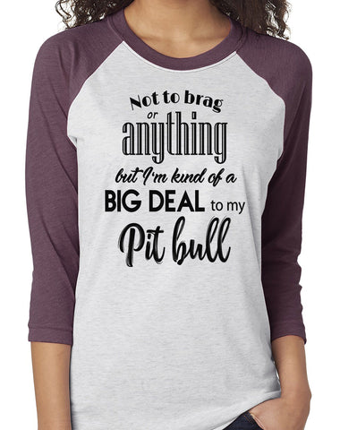 NOT TO BRAG PIT BULL RAGLAN TEE - UP TO 3XL - 3 COLORS