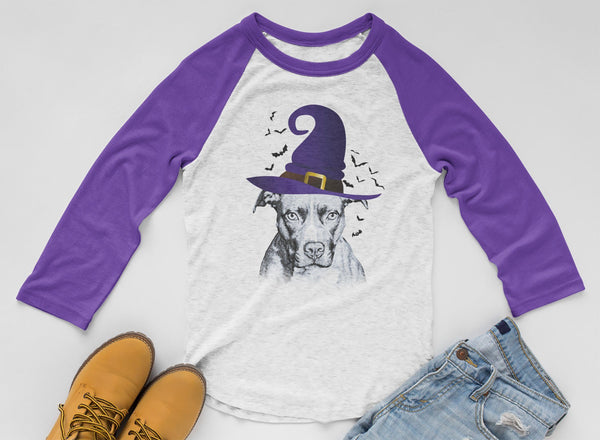 FUN HALLOWEEN PIT BULL IN WITCH HAT RAGLAN TEE - UP TO 3XL - 2 COLORS