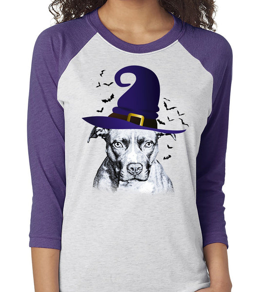FUN HALLOWEEN PIT BULL IN WITCH HAT RAGLAN TEE - UP TO 3XL - 2 COLORS